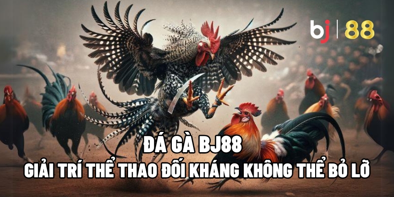 Đá Gà BJ88 – Giải Trí Thể Thao Đối Kháng Không Thể Bỏ Lỡ - Fuxage