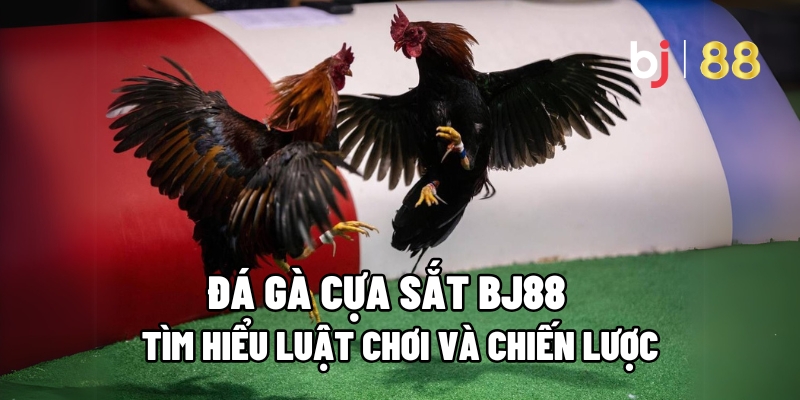 Đá Gà Cựa Sắt BJ88 – Tìm Hiểu Luật Chơi Và Chiến Lược - Fuxage