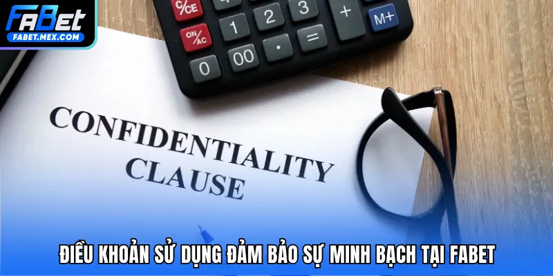 Darry Ngô – Người Đưa FABET Thành Tên Tuổi Hàng Đầu - Fuxage