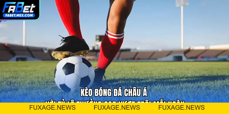 Code FABET - Hướng Dẫn Nhận Thưởng 100% Dành Cho NewBie - Fuxage