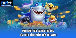 KIẾN THỨC | FABET - Fuxage