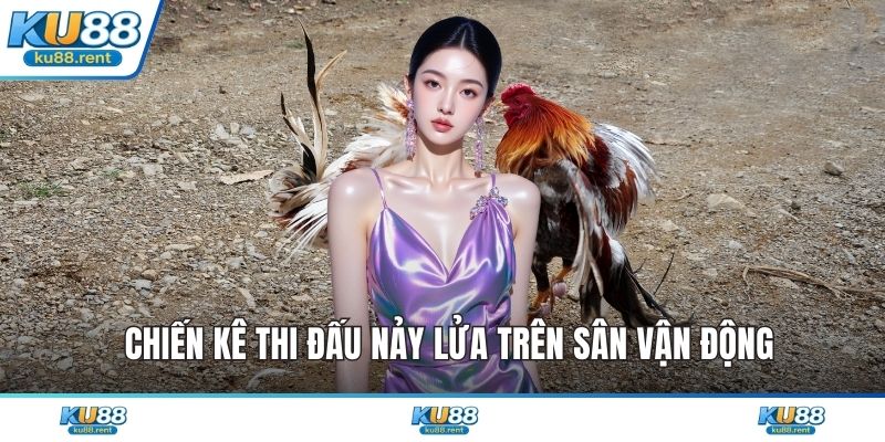 Đá Gà Cúp C1 - Khám Phá Đỉnh Cao Giải Trí Kịch Tính - Fuxage