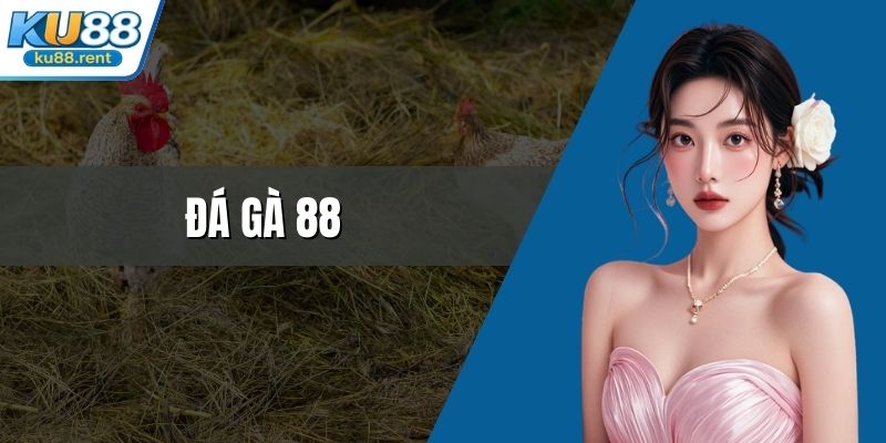 Đá Gà 88 - Đấu Trường Rực Lửa Cho Chiến Kê Đẳng Cấp - Fuxage