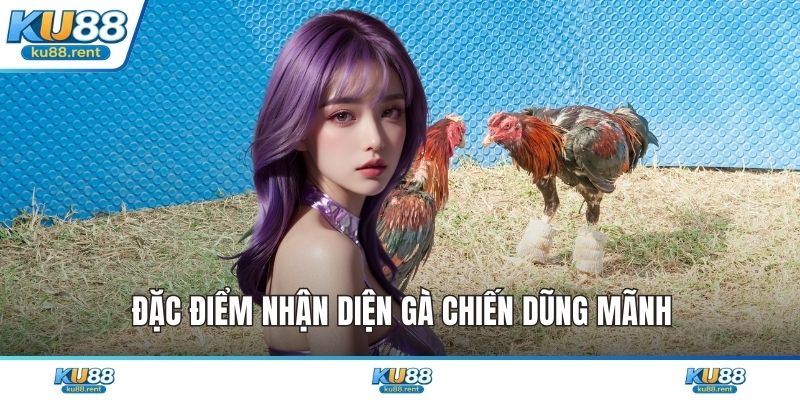 Mẹo Chơi Đá Gà Online - Thủ Thuật Chiến Thắng Cực Dễ - Fuxage