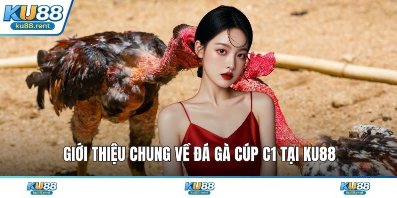 Đá Gà Cúp C1 - Khám Phá Đỉnh Cao Giải Trí Kịch Tính - Fuxage