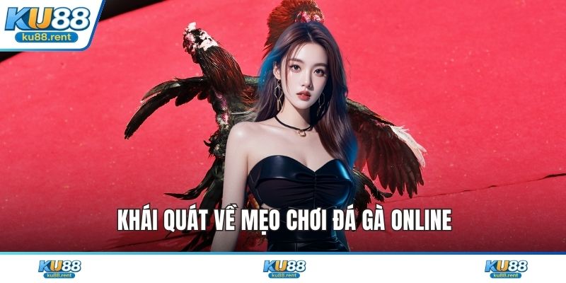 Mẹo Chơi Đá Gà Online - Thủ Thuật Chiến Thắng Cực Dễ - Fuxage