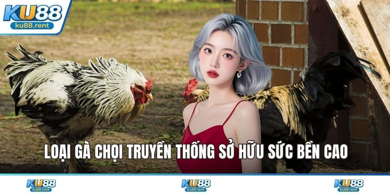 Đá Gà 88 - Đấu Trường Rực Lửa Cho Chiến Kê Đẳng Cấp - Fuxage