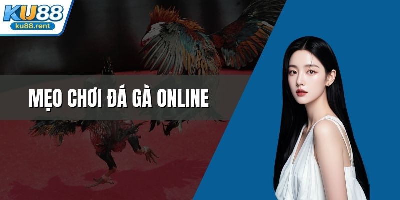 Đá Gà KU88 Đánh Thức Bản Lĩnh Chinh Phục Đỉnh Cao 2026 - Fuxage