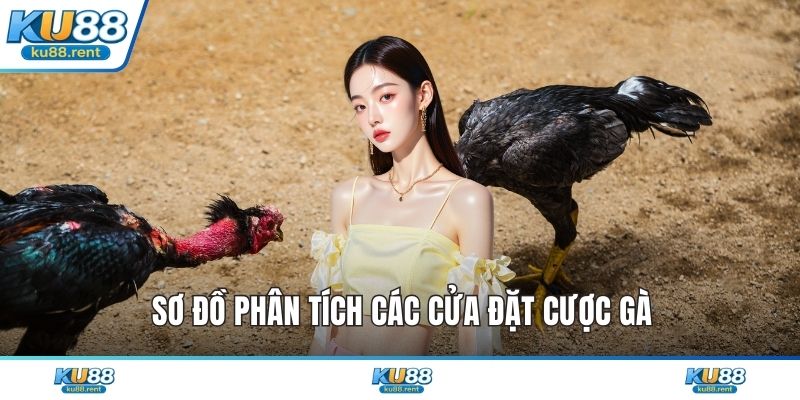 Mẹo Chơi Đá Gà Online - Thủ Thuật Chiến Thắng Cực Dễ - Fuxage