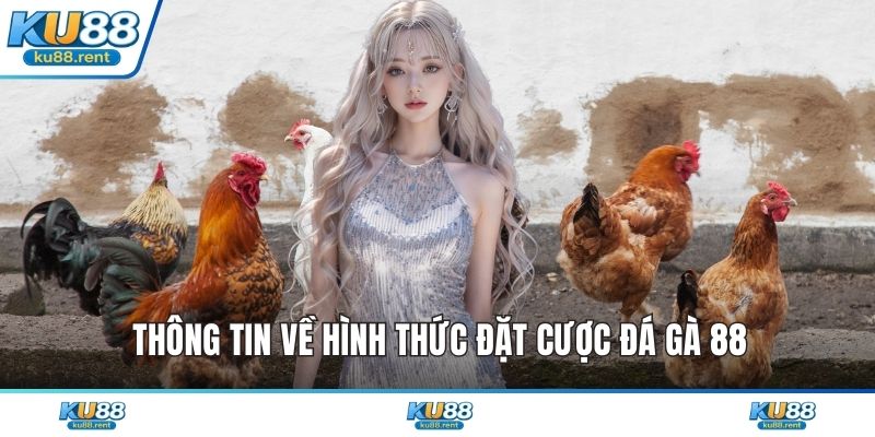 Đá Gà 88 - Đấu Trường Rực Lửa Cho Chiến Kê Đẳng Cấp - Fuxage