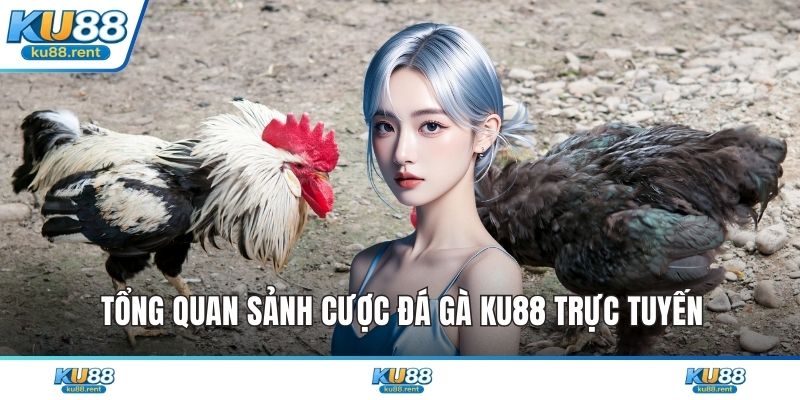 Đá Gà KU88 Đánh Thức Bản Lĩnh Chinh Phục Đỉnh Cao 2026 - Fuxage